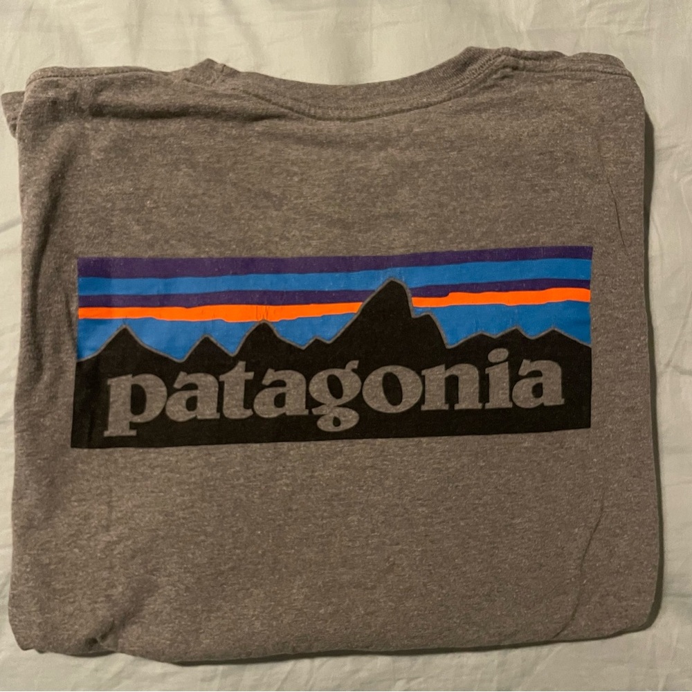 Patagonia Gray Graphic T-Shirt